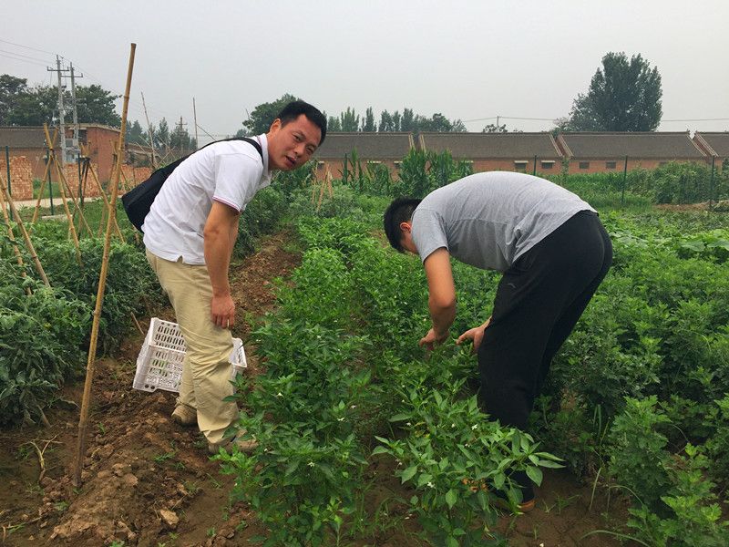 好利來郭總喊您來摘菜啦！綠色無公害，放心！